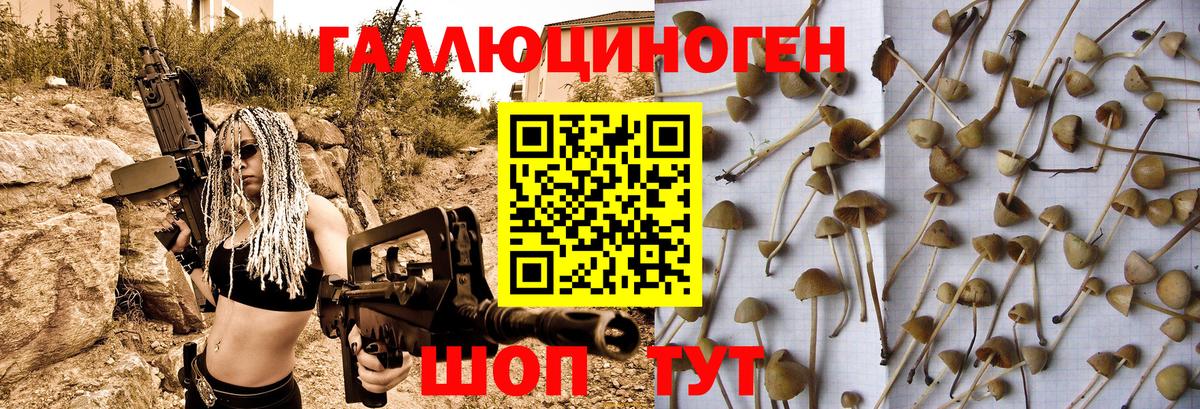 Артёмовский  Псилоцибиновые грибы Magic Shrooms  Вход с VPN 